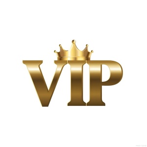 vip.bj